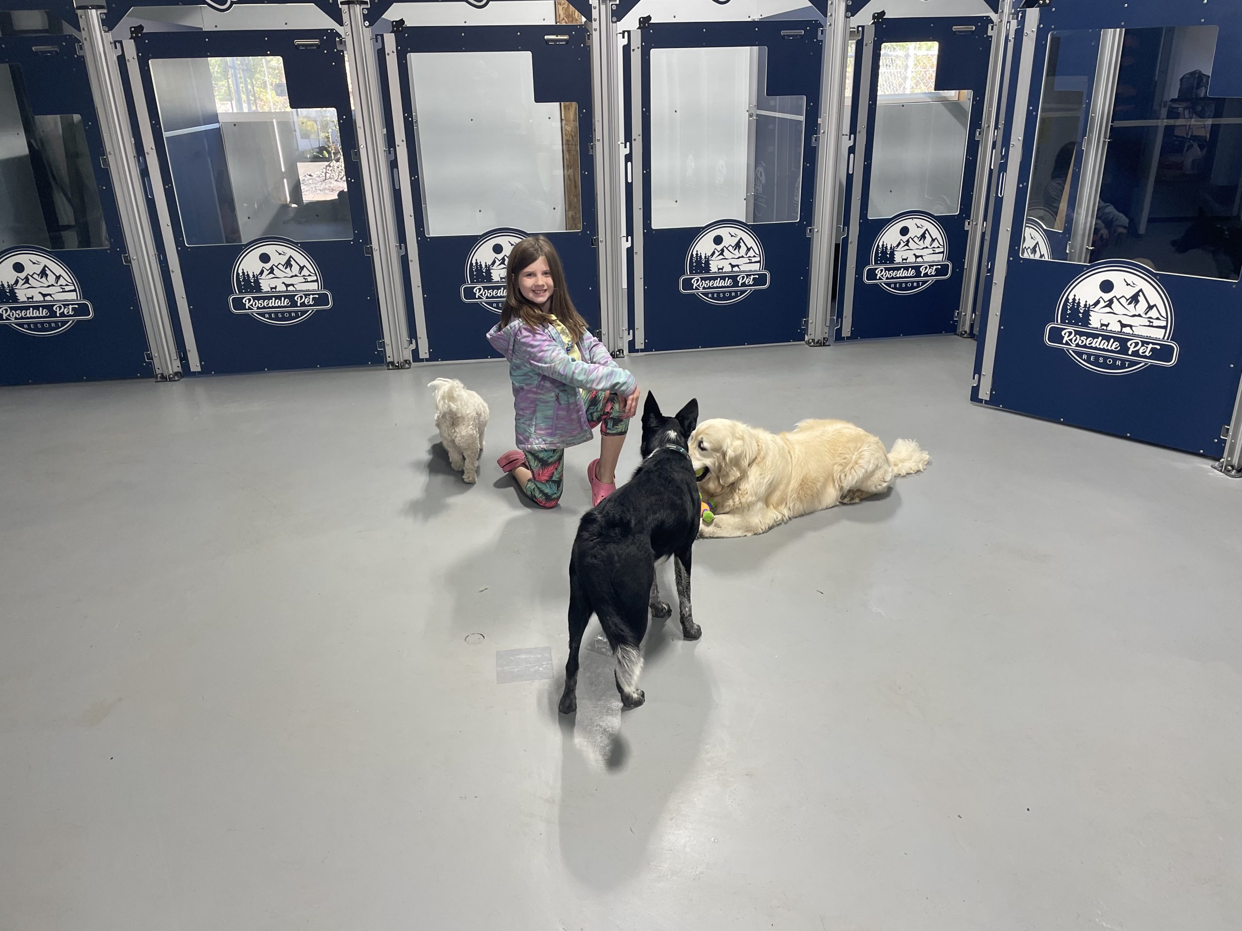 dogcabb dogcabb
